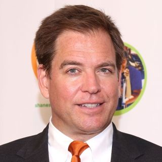 Michael Weatherly