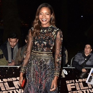 BFI London Film Festival: Moonlight Premiere - Arrivals