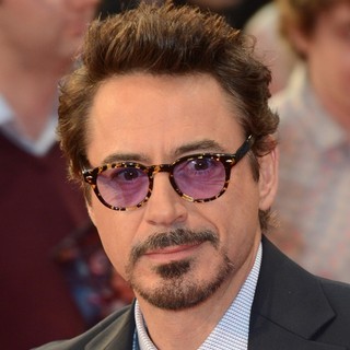 robert downy jr robert downy jr
