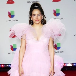 19th Annual Latin Grammy Awards - Arrivals