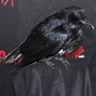 Special Screening of Relativity Media's The Raven - Arrivals