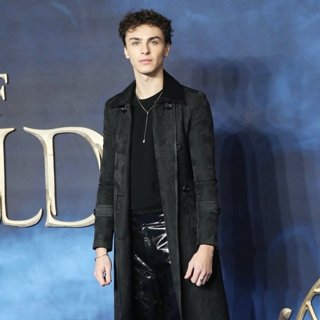 The UK Premiere of Fantastic Beasts: The Crimes of Grindelwald - Arrivals