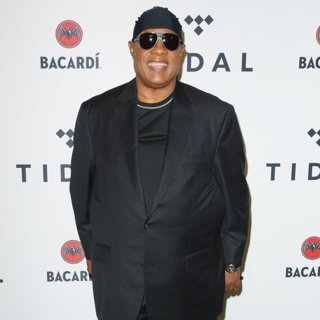 Stevie Wonder