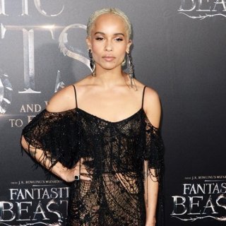 Fantastic Beasts and Where to Find Them World Premiere - Red Carpet Arrivals