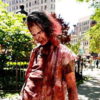 Premiere of 'Survival of the Dead'