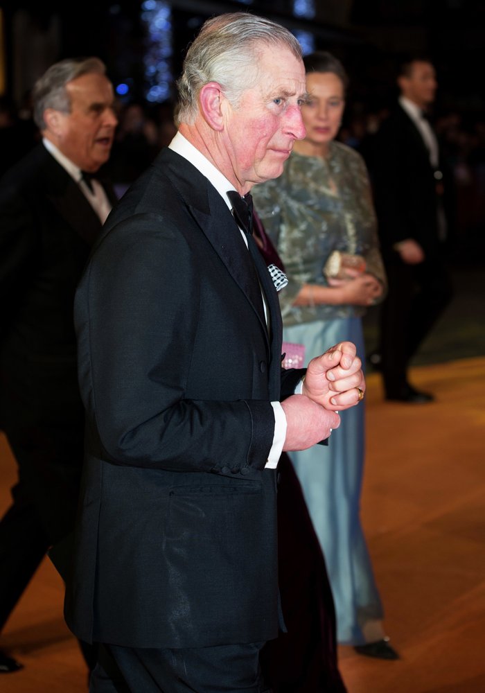 Prince Charles Picture 41 UK Premiere The Second Best Exotic Marigold 