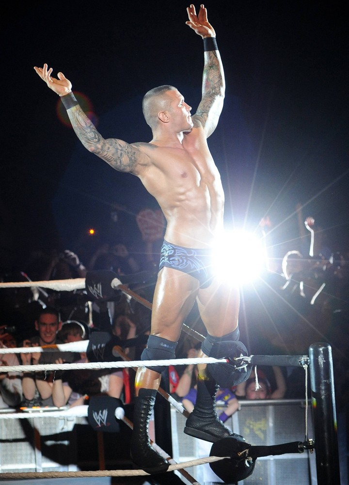 Randy Orton;<br>WWE RAW Wrestling Superstars