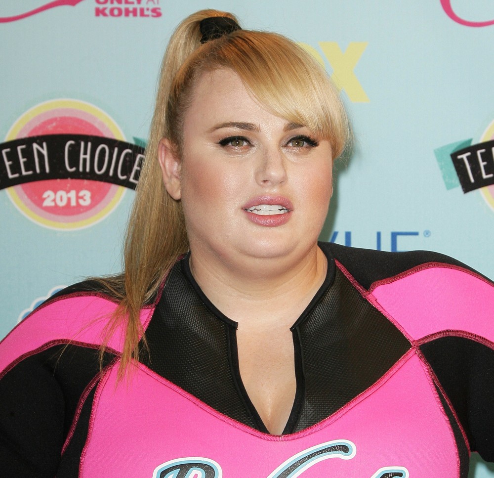 Rebel Wilson Picture 65 - 2013 Teen Choice Awards - Press Room
