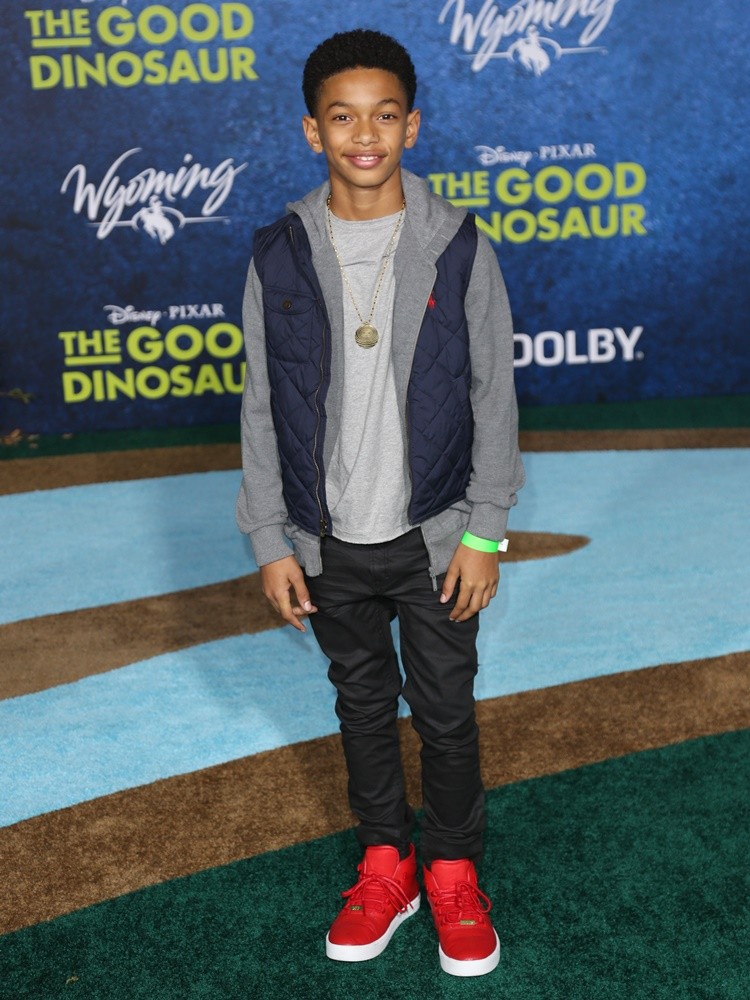 Sayeed Shahidi;<br>Los Angeles Premiere of The Good Dinosaur - Arrivals