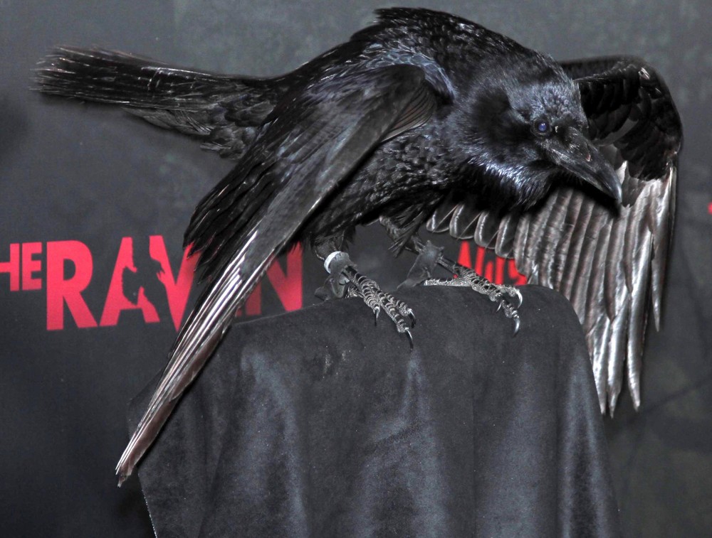 <br>Special Screening of Relativity Media's The Raven - Arrivals