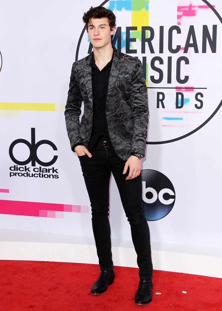 Shawn Mendes Picture 1 - 2017 American Music Awards - Arrivals