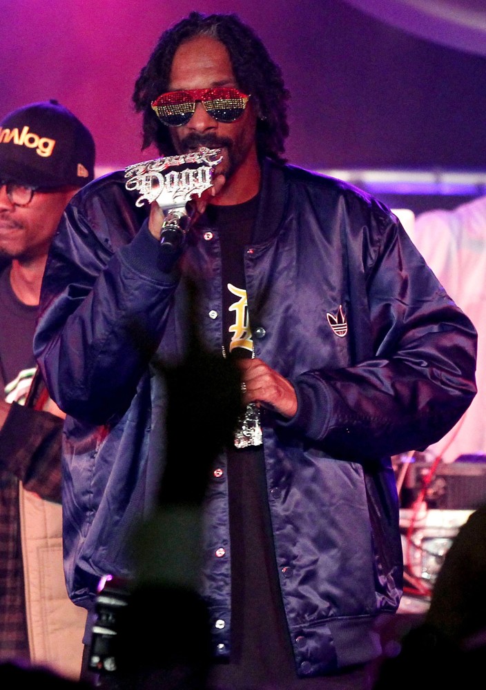 snoopdogg Picture 158 Snoop Dogg Performing Live in Concert