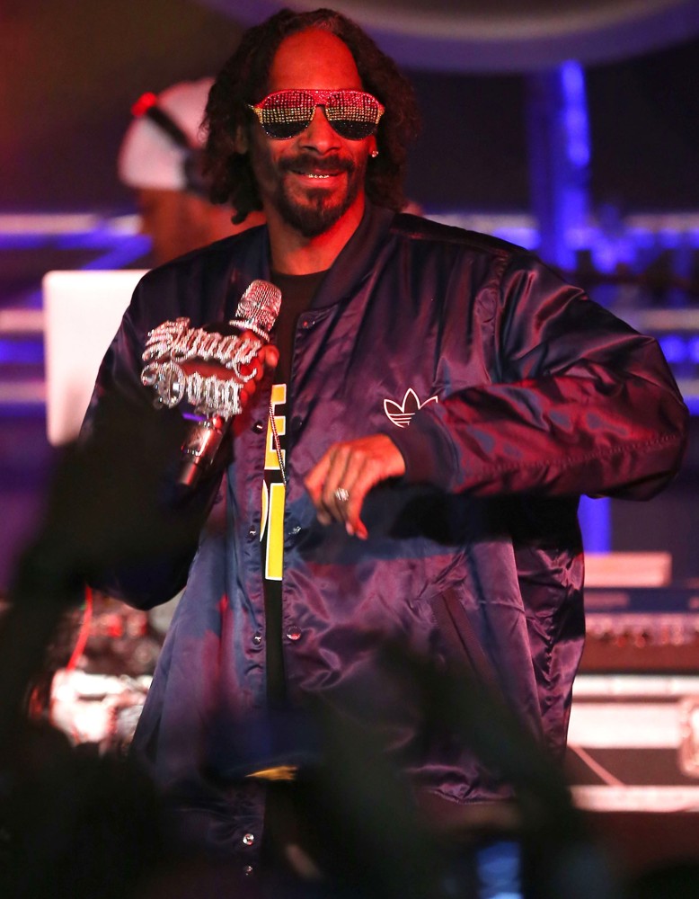 snoopdogg Picture 156 Snoop Dogg Performing Live in Concert