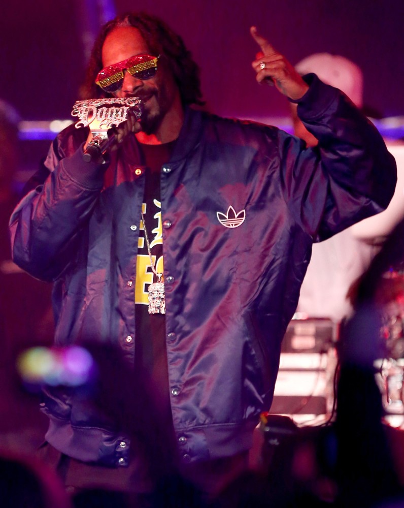 snoopdogg Picture 158 Snoop Dogg Performing Live in Concert