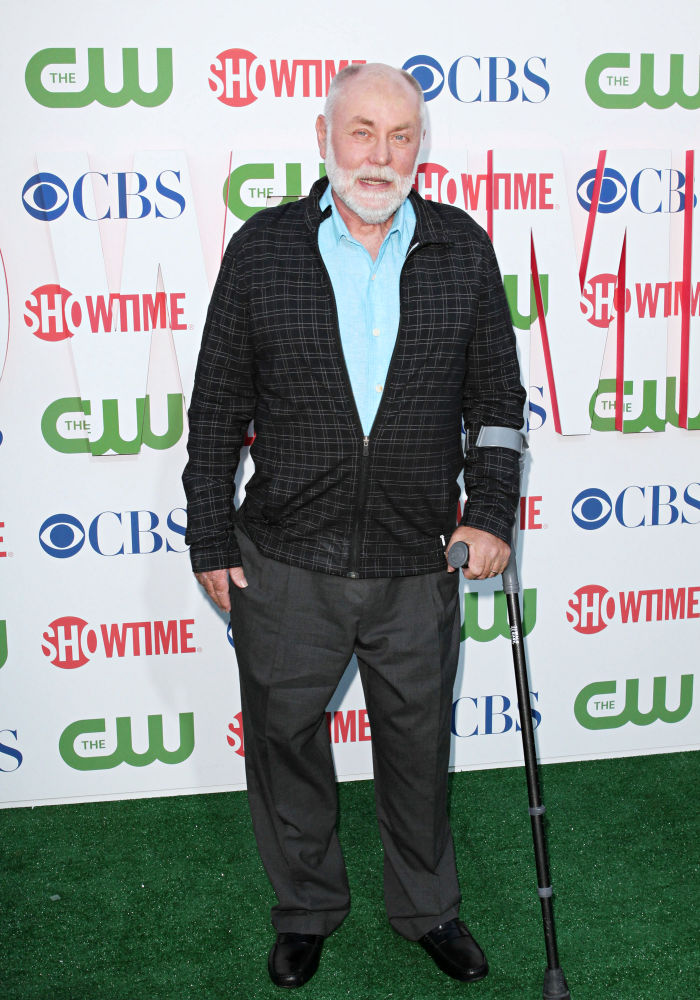 Robert David Hall;<br>2010 CBS, CW, Showtime Summer Press Tour Party