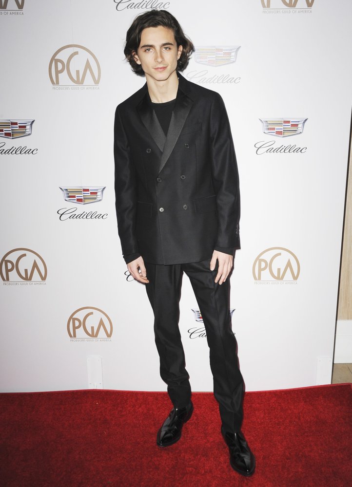 Timothee Chalamet Pictures Gallery 4 with High Quality Photos