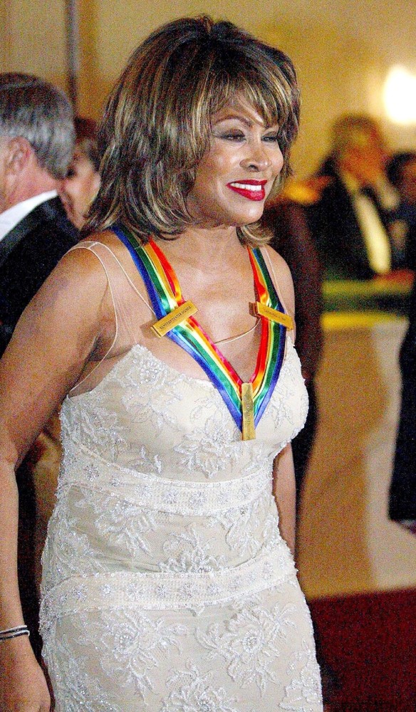 Tina Turner Picture 1