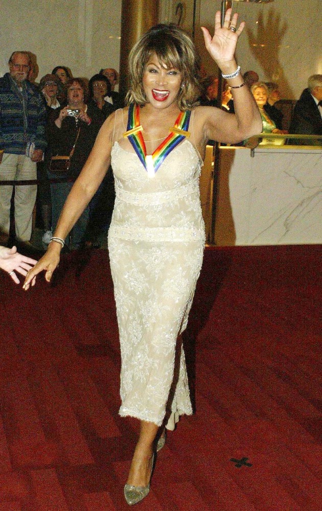 Tina Turner Picture 3