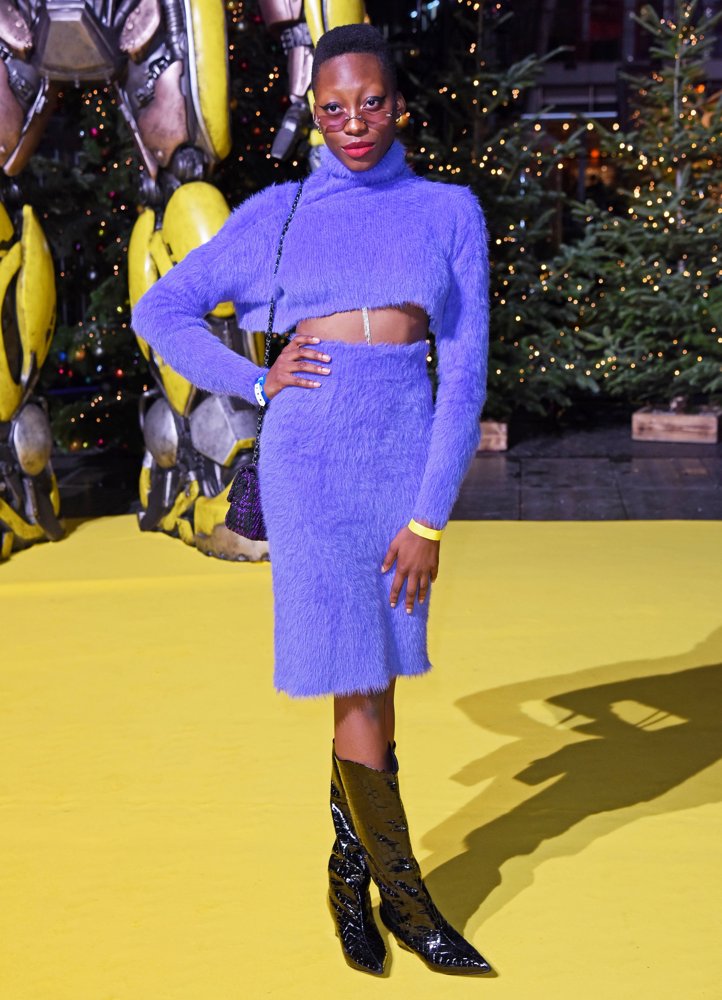 Bumblebee Fan Screening - Picture 4