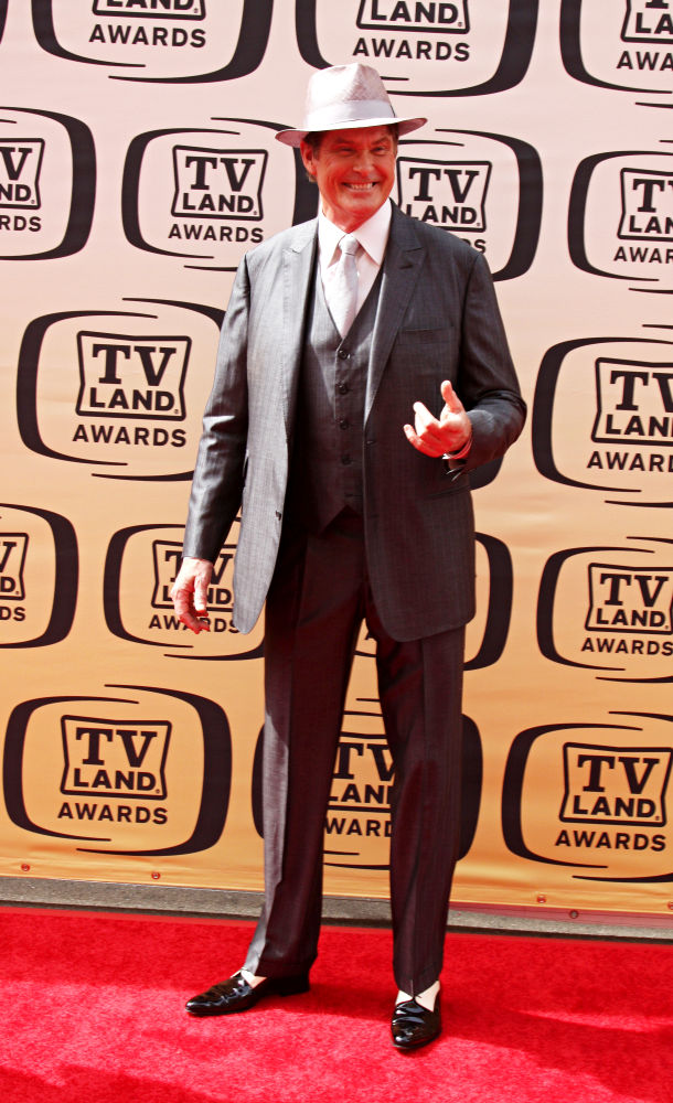 David Hasselhoff;<br>The TV Land Awards 2010