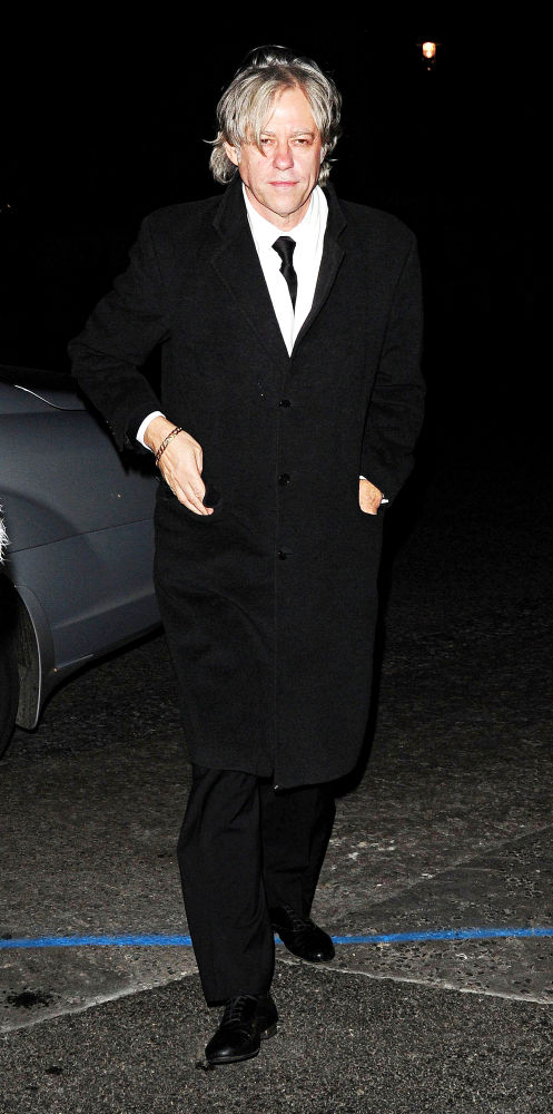 Bob Geldof Picture 1 - The 2009 Royal Rajasthan Gala