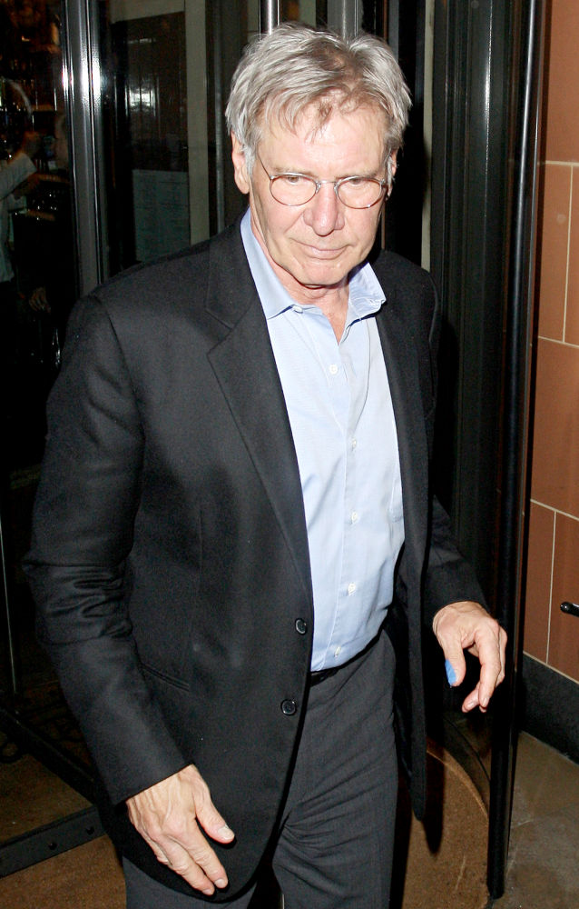 Harrison Ford Criticized for 'Cheeseburger' Flight