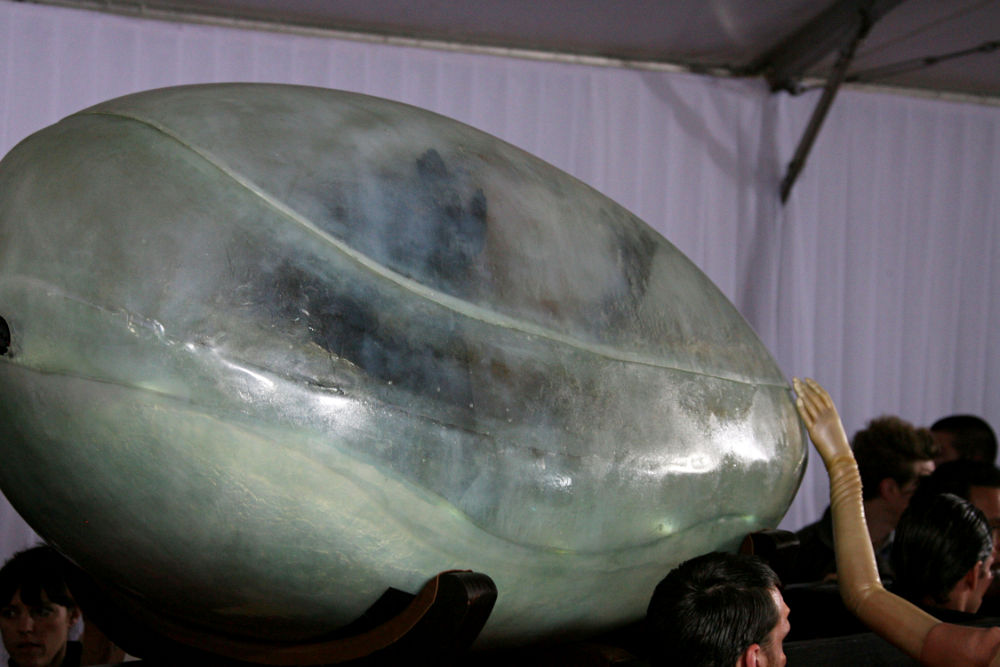 Lady GaGa;<br>The 53rd Annual GRAMMY Awards - Red Carpet Arrivals