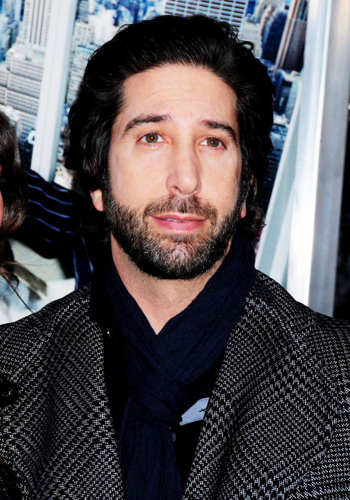 David Schwimmer Picture 13 - New York Premiere of 'Arthur ...