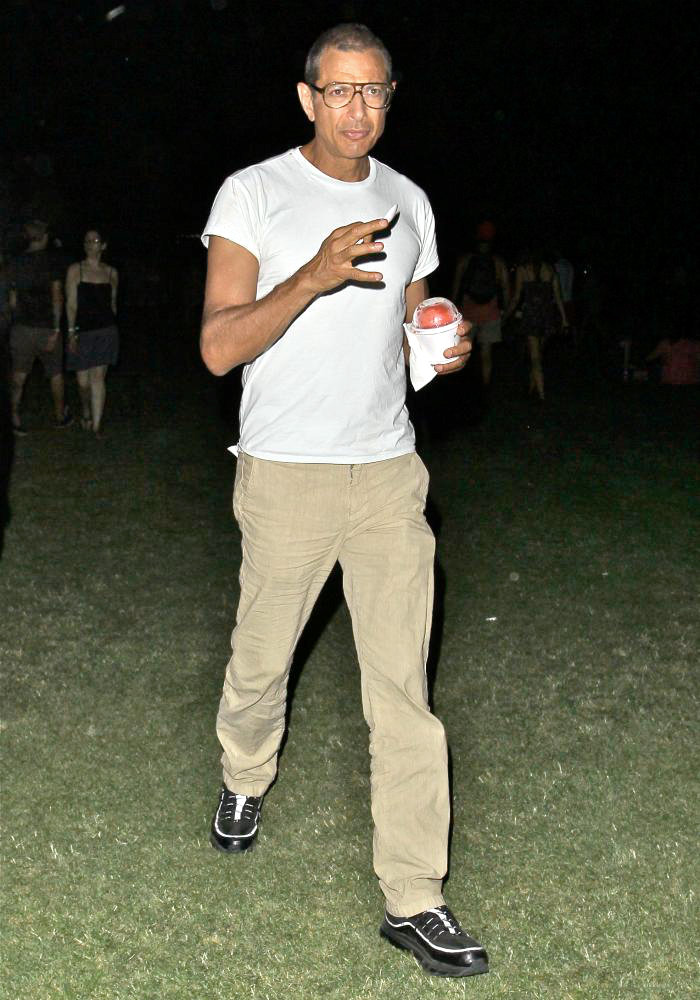 Jeff Goldblum;<br>Celebrities at The 2011 Coachella Valley Music and Arts Festival - Day 2