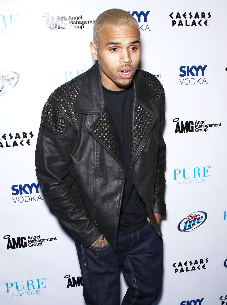 Chris Brown;<br>Chris Brown Celebrates His 22nd Birthday