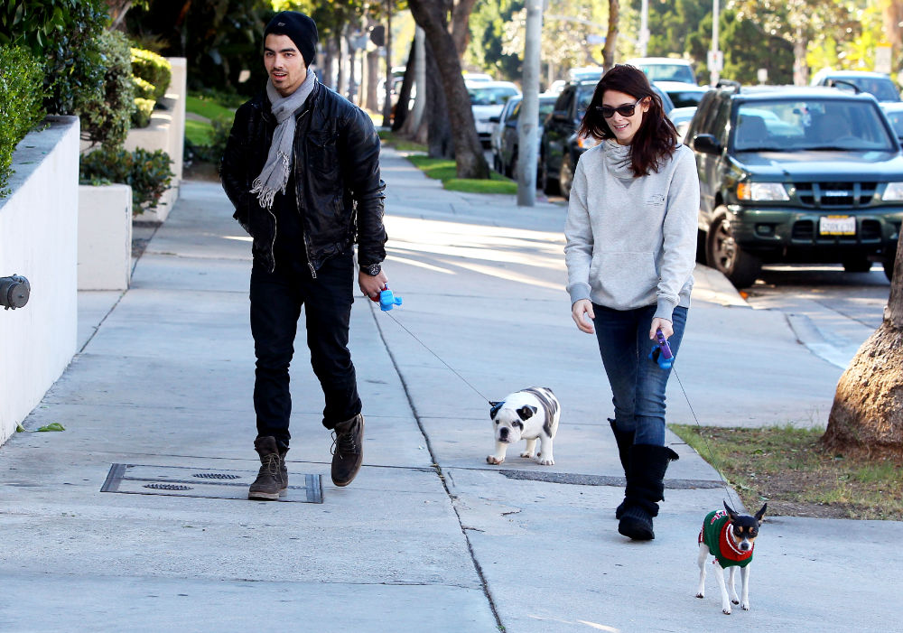 Joe Jonas;Ashley Greene;<br>Joe Jonas and Ashley Greene Take Their Dogs for A Walk